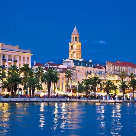 Chrysanta * 스플리트