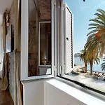 Chrysanta